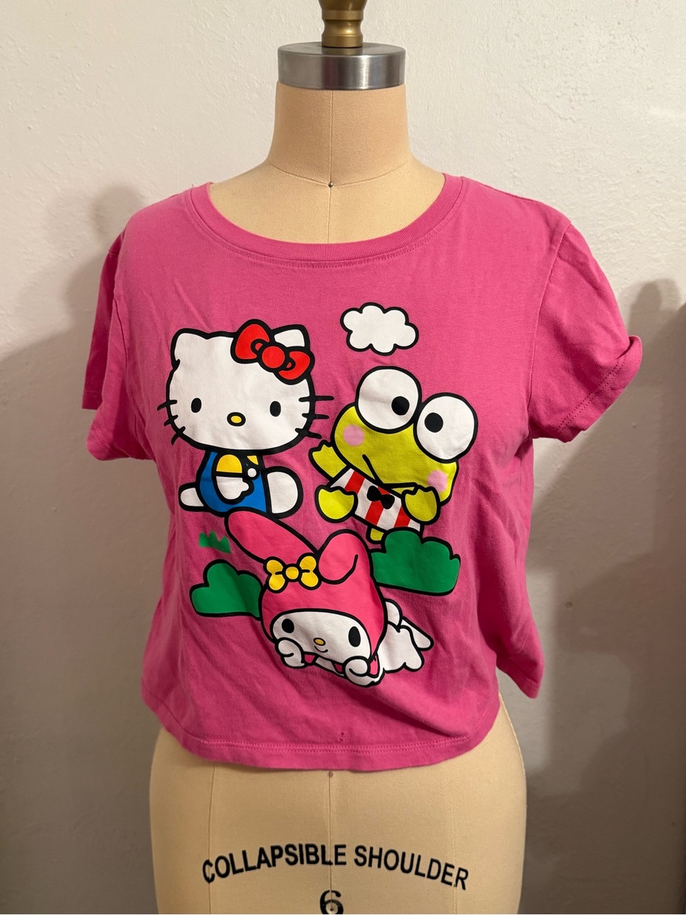 Hello Kitty & Friends Sanrio My Melodie Keroppi Graphic Tee